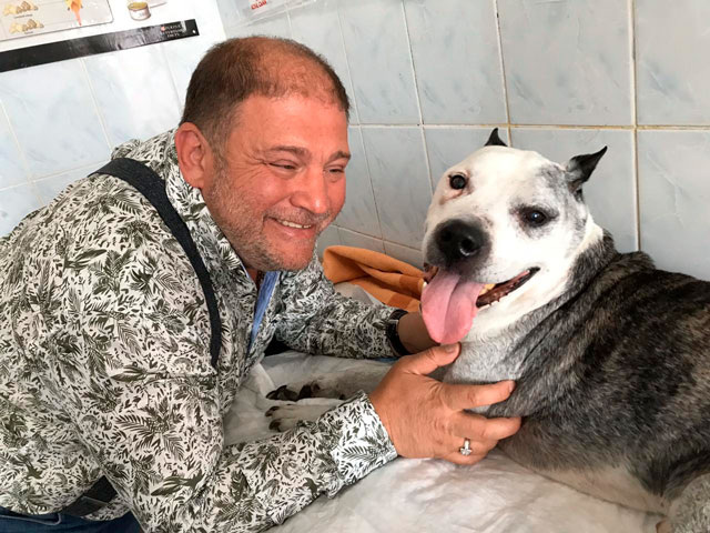 Конкурс на голову ОГТСУ: сісти на трубу хочуть люди Коломойського, Ахметова, Фірташа, Фрідмана і фігуранти кримінальних проваджень 05