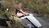 бігус