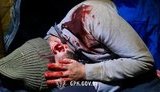 польща,білорусь,мігранти