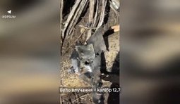 Прикордонники збили 2 російські БпЛА під час однієї з атак на Київщину