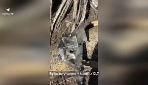 Сбивание двух вражеских ударных БПЛА в Киевской области: боевая работа 9-го отряда пограничников. ВИДЕО