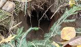 На кордоні Польщі з Білоруссю виявили тунель