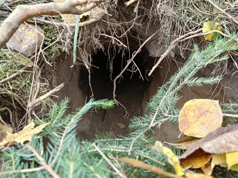 tunnel