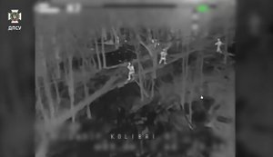 Sky Hawks border guards destroyed two antennas, mortar and 13 enemy shelters. VIDEO