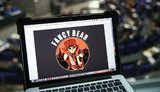 bear,fancy