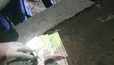 На хабарі в $400 затримано інспектора Черкаської митниці, - прокуратура. ФОТО