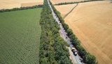 Украина начала реализацию программы МБРР для сельского хозяйства на $200 миллионов