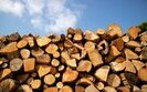 Чому Зеленський вирішив не підписувати закон про дрова