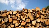 В Україні немає ризику дефіциту дров попри відключення світла