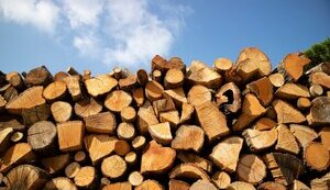 Чому Зеленський вирішив не підписувати закон про дрова