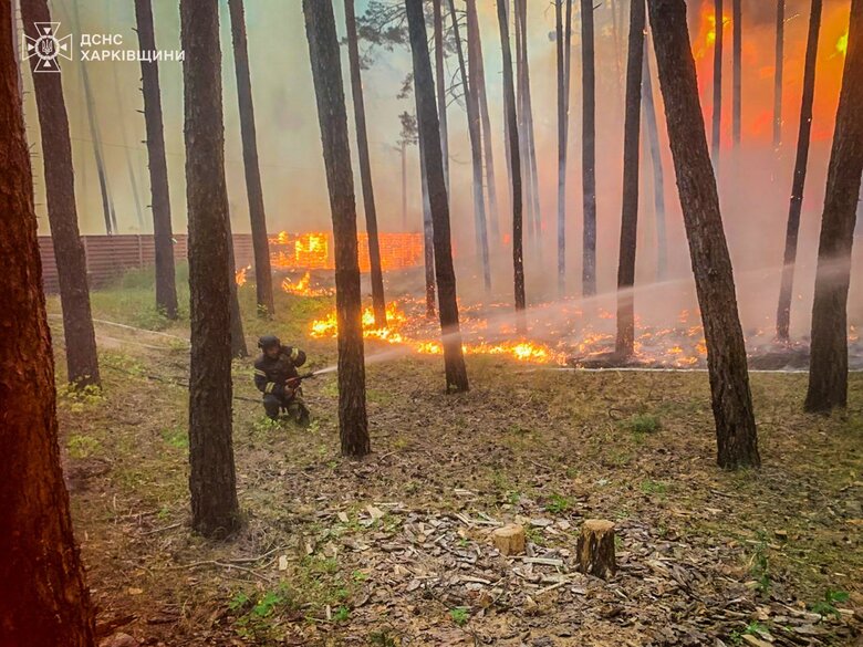 На Харківщині через обстріли РФ горів ліс