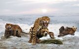 Скоро