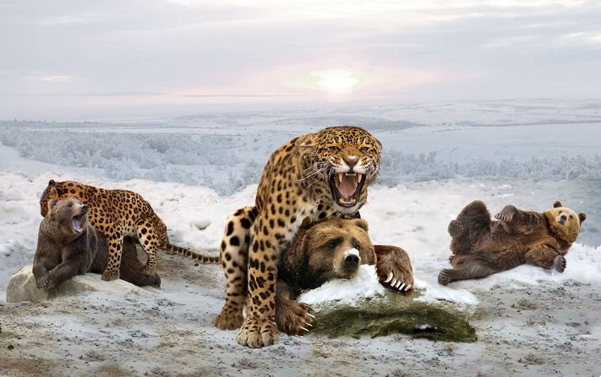 Скоро