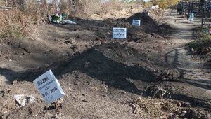 Rows of new graves spotted in Rostov-on-Don cemetery. PHOTOS