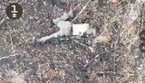 Soldiers of the 425th Regiment Skelya eliminated the occupiers in one of the directions