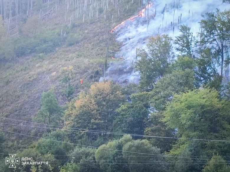 A 7-hectare forest fire is being extinguished in Zakarpattia