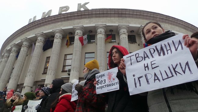 Страждання - це НЕ смішно! У Києві протестували проти використання тварин у цирку 14