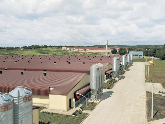 Federation of Employers of Ukraine points to law enforcers arbitrariness in relation to Ukrlandfarming 01 Federation of Employers of Ukraine points to law enforcers arbitrariness in relation to Ukrlandfarming 01