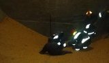 Засипало кукурудзою: на елеваторі в Галицькому районі загинуло двоє чоловіків, - ДСНС. ФОТО