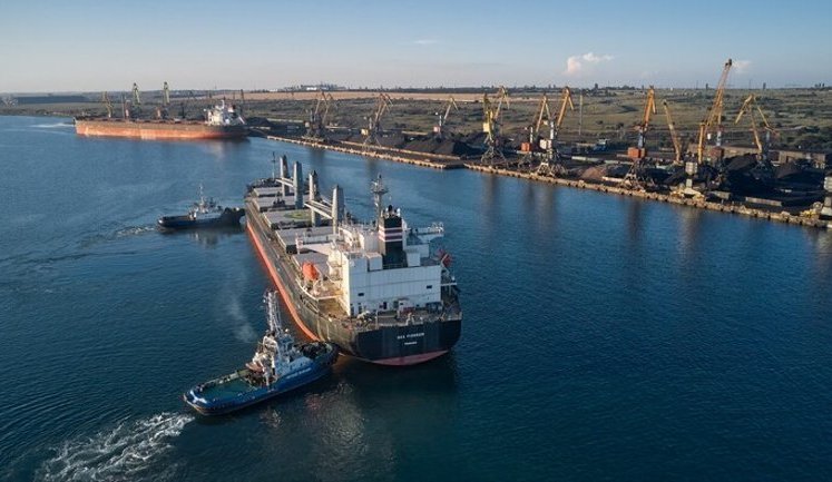 After Russian attacks, port of Pivdennyi has partially resumed operations