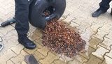 пограничники янтарь