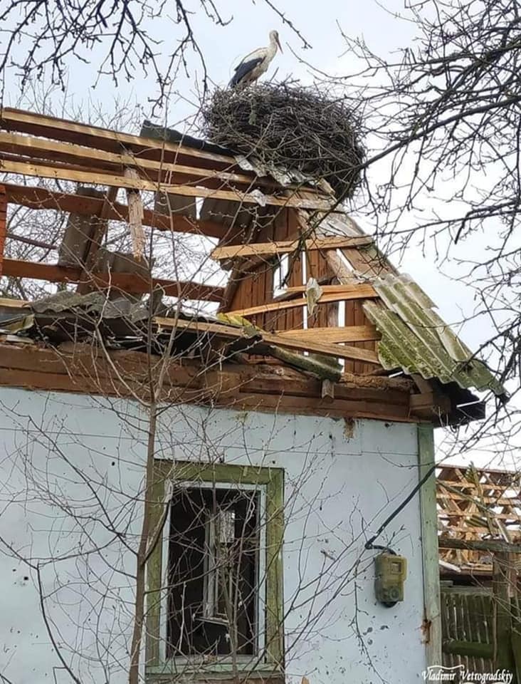 Нардеп Ольга Василевська-Смаглюк: Було знайдено документи на кшталт записок бравых российских солдат. Серед них – багато доповідних записок з приводу Православної Церкви України 07