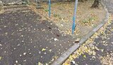 херсон