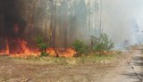 Four fire outbreaks have been recorded in the Chernobyl exclusion zone