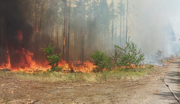 Four fires break out in Chornobyl Exclusion Zone – SAUEZM. PHOTO