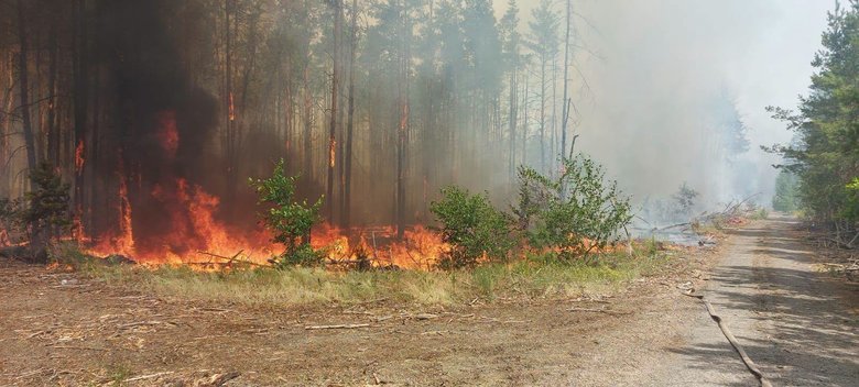 У Чорнобильській зоні зафіксували чотири осередки пожеж. Фахівці запевняють, що радіаційний фон залишається в межах норми.