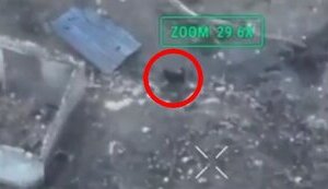 Dog directs Ukrainian kamikaze drones at occupiers. VIDEO