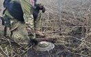 міна,розмінування