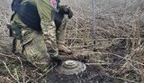 міна,розмінування