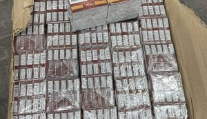 На кордоні з Молдовою під полуницею виявили контрабандні сигарети на понад 19 млн грн, - Держприкордонслужба. ВІДЕО+ФОТОрепортаж