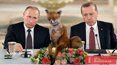 рф