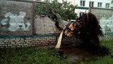 погода харьков