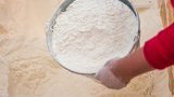 Государственная зерновая компания запустила четыре мукомольных комплекса