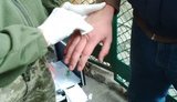 прокуратура военная