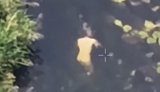 Ukrainian FPV drone eliminates naked ruscist, blast sends him into body of water while "sunbathing". VIDEO