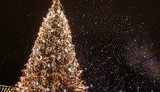 У Вінниці скасували новорічні заходи та встановлення міської ялинки через COVID-19