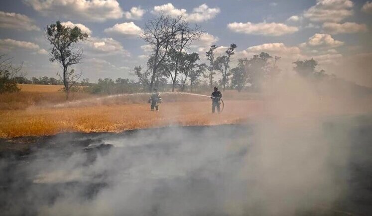 Due to Russian shelling, 16 hectares of ecosystems in Kherson region burned down yesterday, part of wheat was saved - SES. PHOTOS