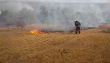 Поблизу Станиці Луганської - лісова пожежа і вибухи, поранено рятувальника