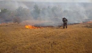 Поблизу Станиці Луганської - лісова пожежа і вибухи, поранено рятувальника