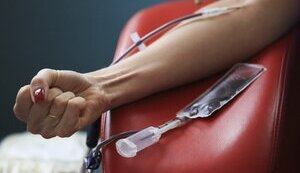 blood donors