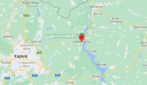 салтов