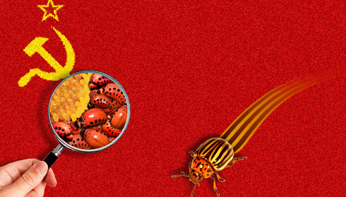 О природе вещей