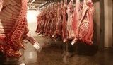 В Украине вступят в силу новые правила забоя и продажи мяса