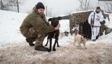 Военные медики спасли питбуля Капрала, который подорвался на мине в зоне ООС. ВИДЕО+ФОТОрепортаж