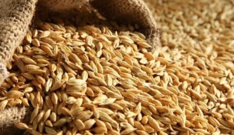Болгарія заборонила імпорт агропродукції з України