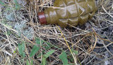 граната